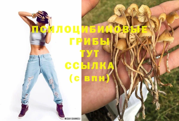 MESCALINE Козловка