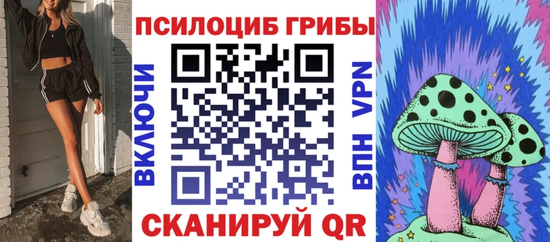 Купить где  Десногорск  Галлюциногенные грибы Psilocybine cubensis 