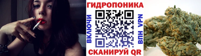 Купить закладки  Десногорск  Бошки Шишки MAZAR 